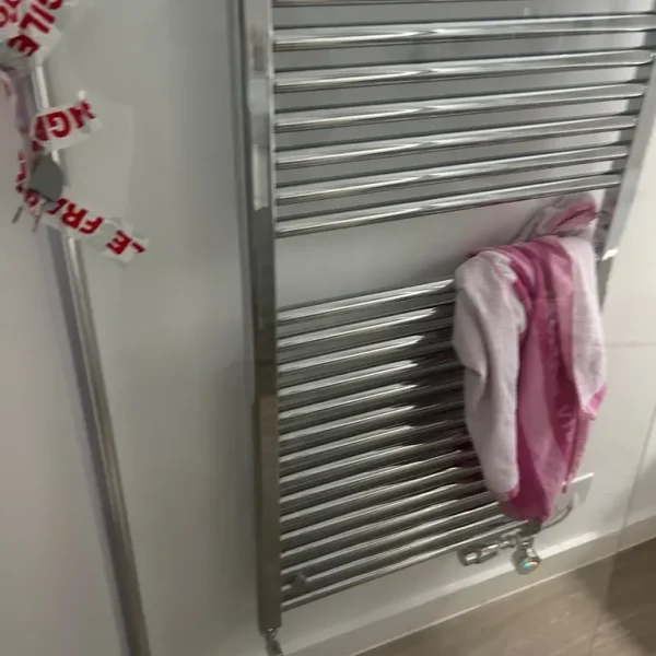 Shower screen door