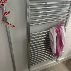 Shower screen door