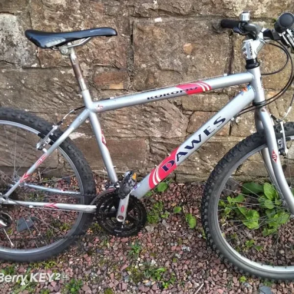 Dawes Kokomo mountain bike, small