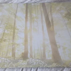 4 canvas pictures - Image 3