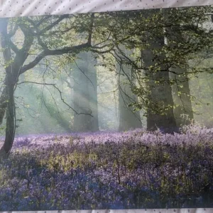 4 canvas pictures - Image 4