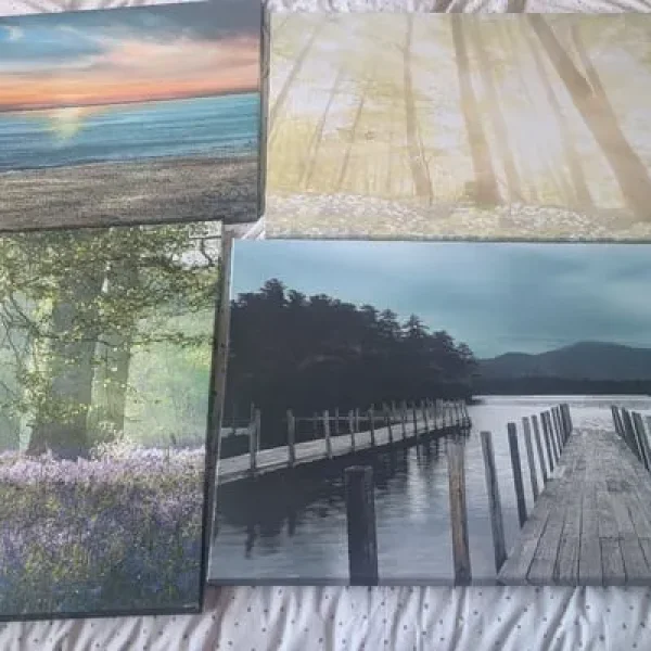 4 canvas pictures