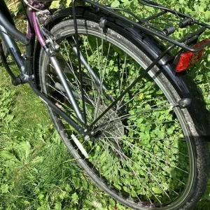 Ladies Apollo 16" Bike - Image 3