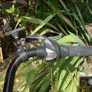 Ladies Apollo 16" Bike - Image 4