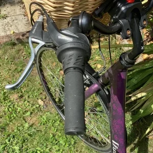 Ladies Apollo 16" Bike - Image 5