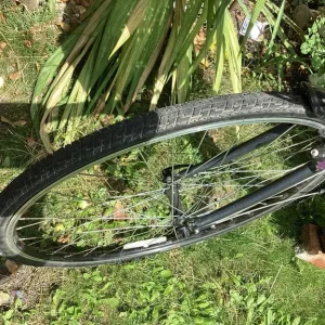 Ladies Apollo 16" Bike - Image 7