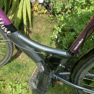 Ladies Apollo 16" Bike - Image 8