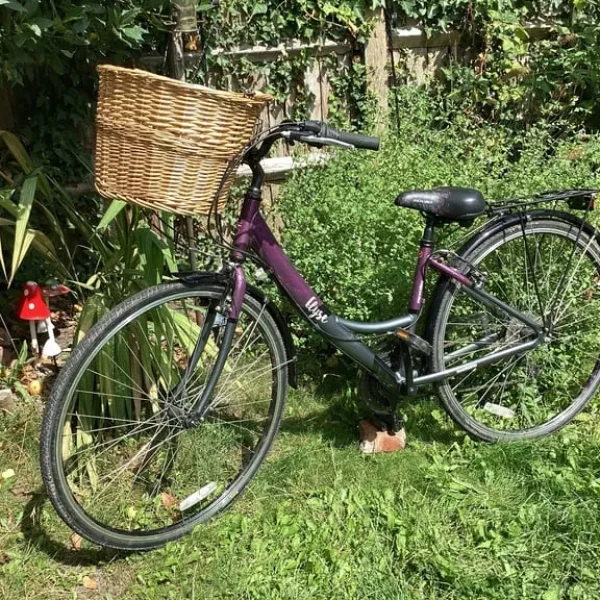 Ladies Apollo 16" Bike