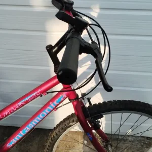 Ladies Bicycle - Image 2