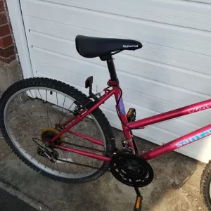 Ladies Bicycle - Image 3