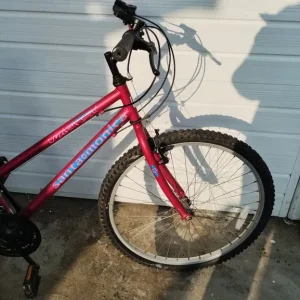 Ladies Bicycle - Image 4