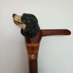 Walking Sticks - Image 2