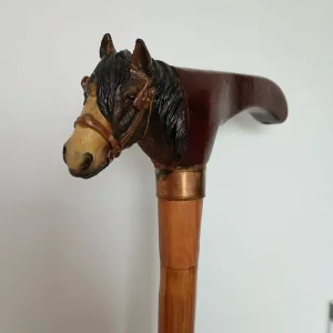 Walking Sticks - Image 3