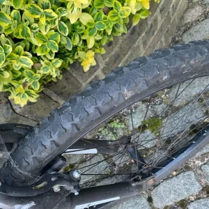 Mantis Challenge bike - Image 5