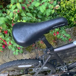 Mantis Challenge bike - Image 7