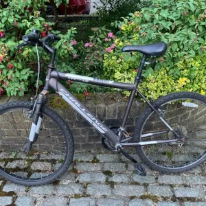 Mantis Challenge bike