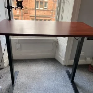FlexiSpot Rise and Fall Desk