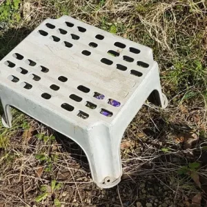 Caravan single or double steps - Image 6