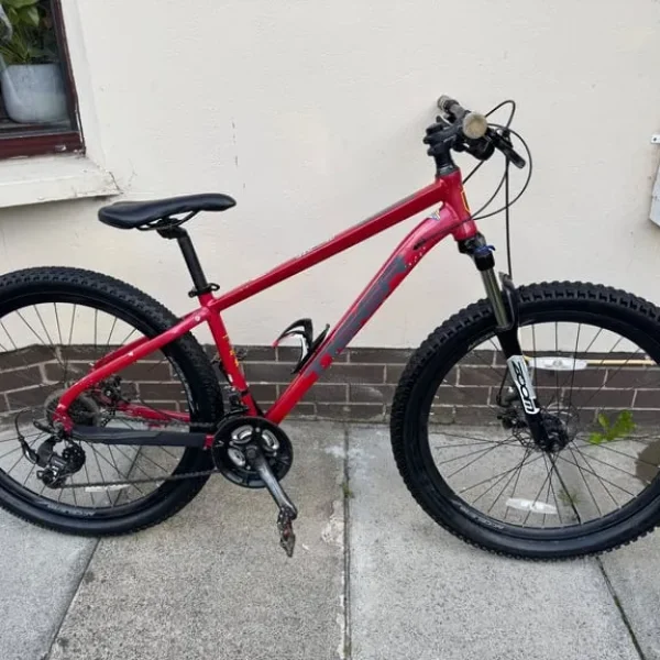 Boys tiger mountain bike