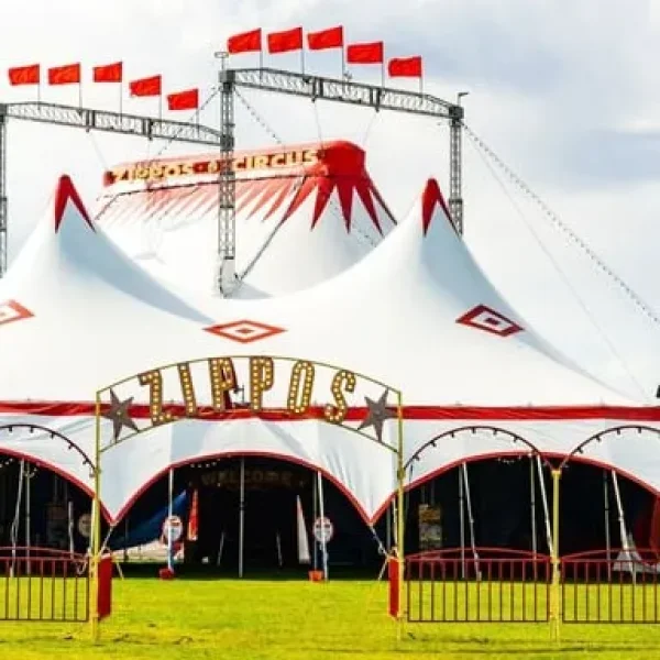 Zippos Circus – 3 x Grandstand Tickets, Saturday 23 August 2025