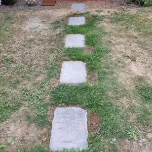 Grey Stepping Stones