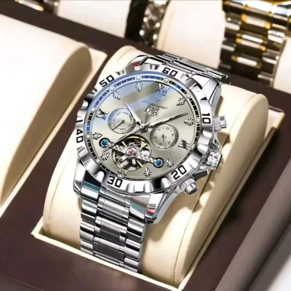 POEDAGAR Men’s Automatic Watch with Tourbillon and Luminous Hands