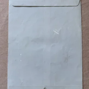 Disney Bambi lithograph 1994 with original envelope - Image 5