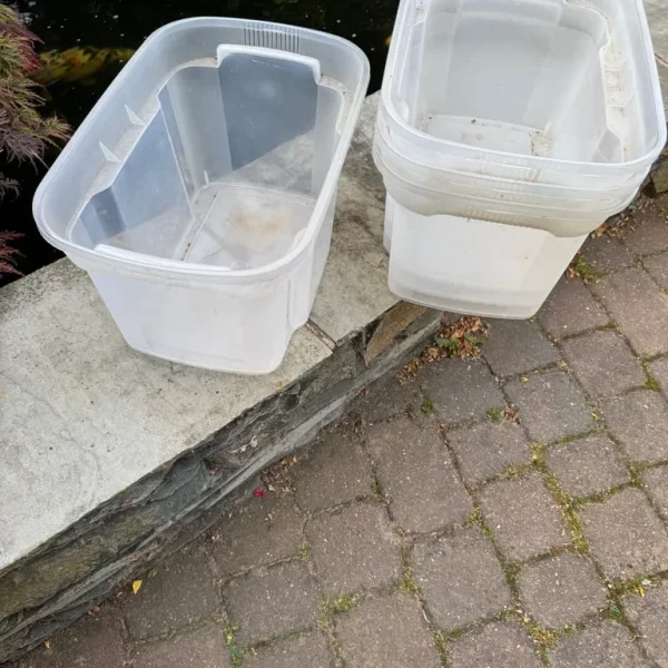 Storage boxes
