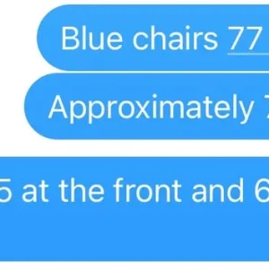 Blue Velvet Chair - Image 7