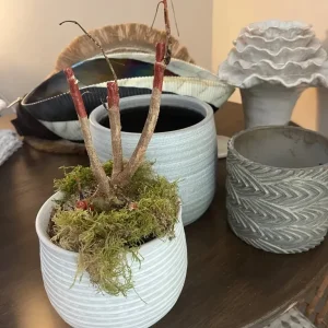 3 grey plant pots small - Image 2