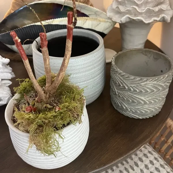 3 grey plant pots small