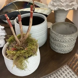 3 grey plant pots small