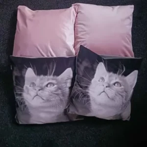Cushions