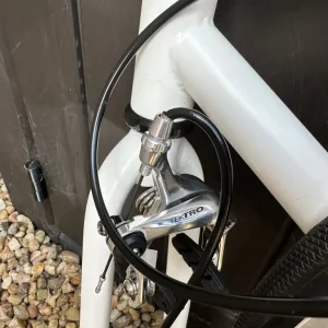 Mango Bikes Original Single Speed – Premium Spec with Miche X-Press - Image 3