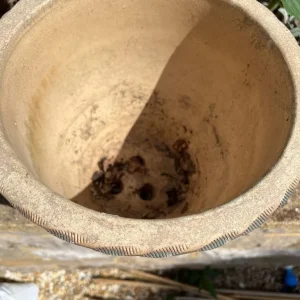 Plant pot - Image 3