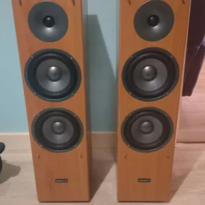 Scott Floor Standing Speakers