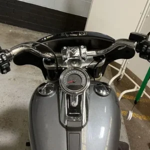 2021 Harley-Davidson Flsb Sport Glide 1745 21 Custom Cruiser - Image 7