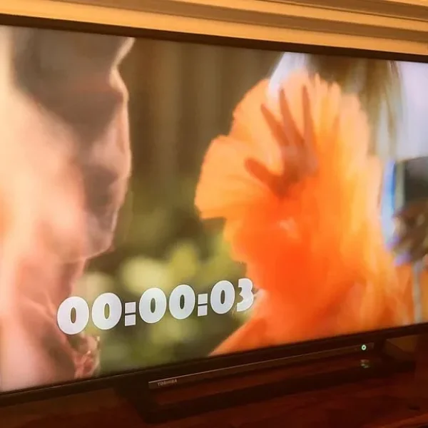 Toshiba UF3D53DB 43" 4K UHD LED Android TV