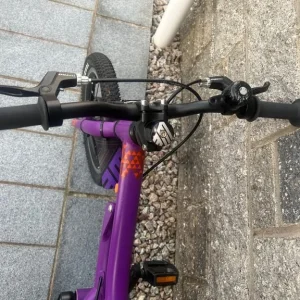 Black Mountain Pinto bike - Image 6