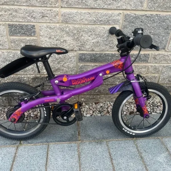 Black Mountain Pinto bike