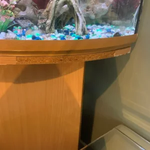 2x2x3 ft corner fish tank and unit - Image 2