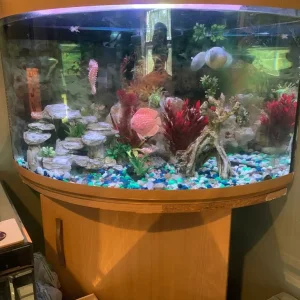 2x2x3 ft corner fish tank and unit - Image 3