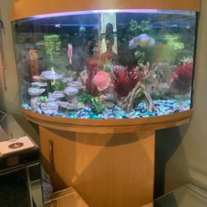 2x2x3 ft corner fish tank and unit