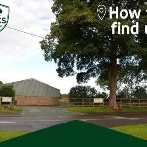 2013 Volkswagen Polo 1.2 Match Hatchback - Image 2