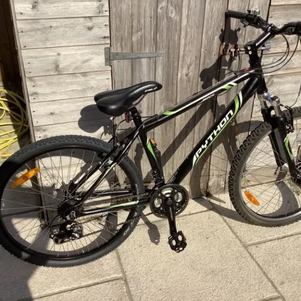 Youths Python ‘Rock’ Mountain Bike (L@@K!)