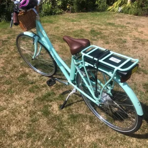 Pendleton electric ladies bike - Image 2