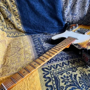 Palir Telecaster - Image 5