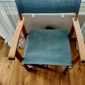 Directors chair - Image 2