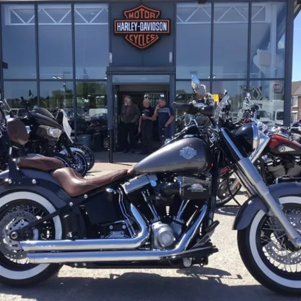 2016 Harley-Davidson Softail Slim FLS Custom Brown Leather Seats