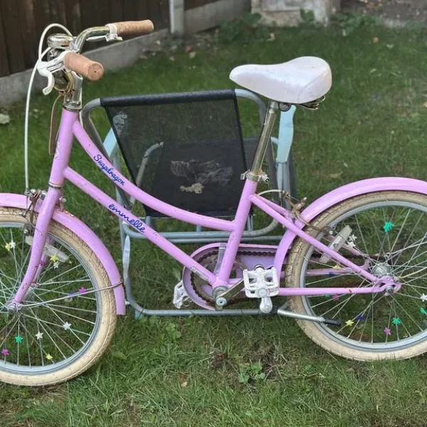 20-inch girls bike wheel